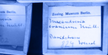 Card catalog with handwriting