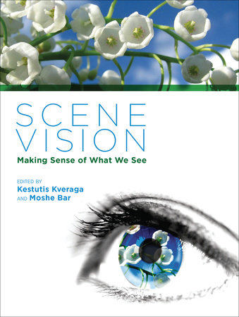 Visual Scene Representation: A Spatial-Cognitive Perspective | Scene ...