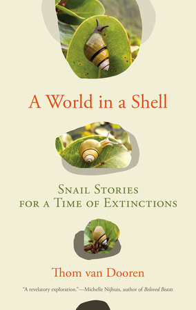 The Collected: The Ongoing Colonial Entanglements of Shells | A World ...