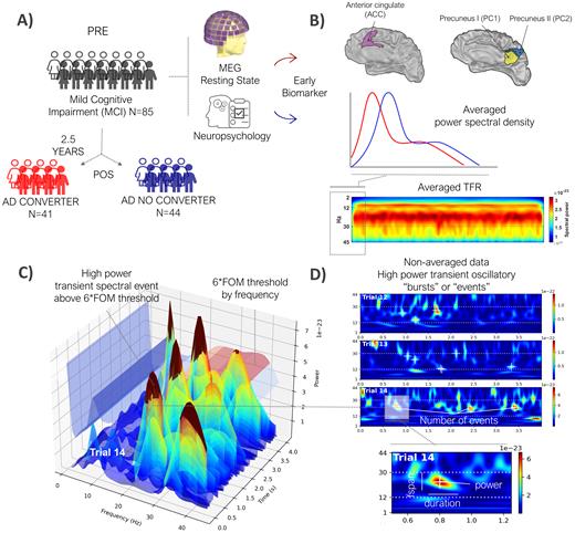 (A) Illustration of the experimental design. Patients with mild cognitive impairment (MCI) were initially assessed using magnetoencephalography and neuropsychological testing. After 2.5 years, they were classified as Alzheimer’s converters (CONV) or non-converters (NOCONV). (B) Averaged power spectra and time–frequency representations (TFR) were extracted from two regions of interest defined in the Schaefer 100-17 network atlas: SalVentAttnB_PFCmp_1 (corresponding to ACC), DefaultA_pCunPCC_1 (PC1), and ContC_pCun_1 (PC2). (C) High-power transient bursts were detected as local maxima in the TFR exceeding a threshold of 6 × the factor-of-the-median (FOM) at each frequency, following Shin et al. (2017). (D) Example non-averaged TFRs from three resting-state segments in the left ACC. Several features of these events were extracted, as they may contribute to increases in average power across time and frequency, including event rate, duration, frequency span, and power.